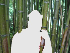 Призрак среди дикого бамбука